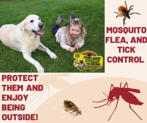 Lawn Care and Gardening