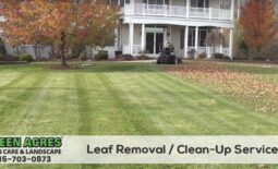 Leaf Removal and fall clean up services