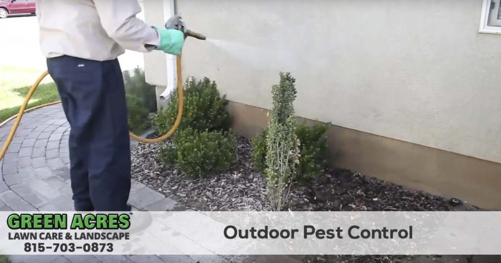 Outdoor and perimeter pest control services in Illinois