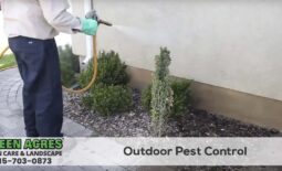 Outdoor and perimeter pest control services in Illinois
