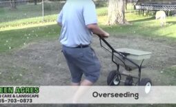 Grass Seeding Service