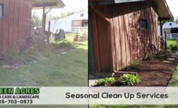 Spring and Fall Clean Ups