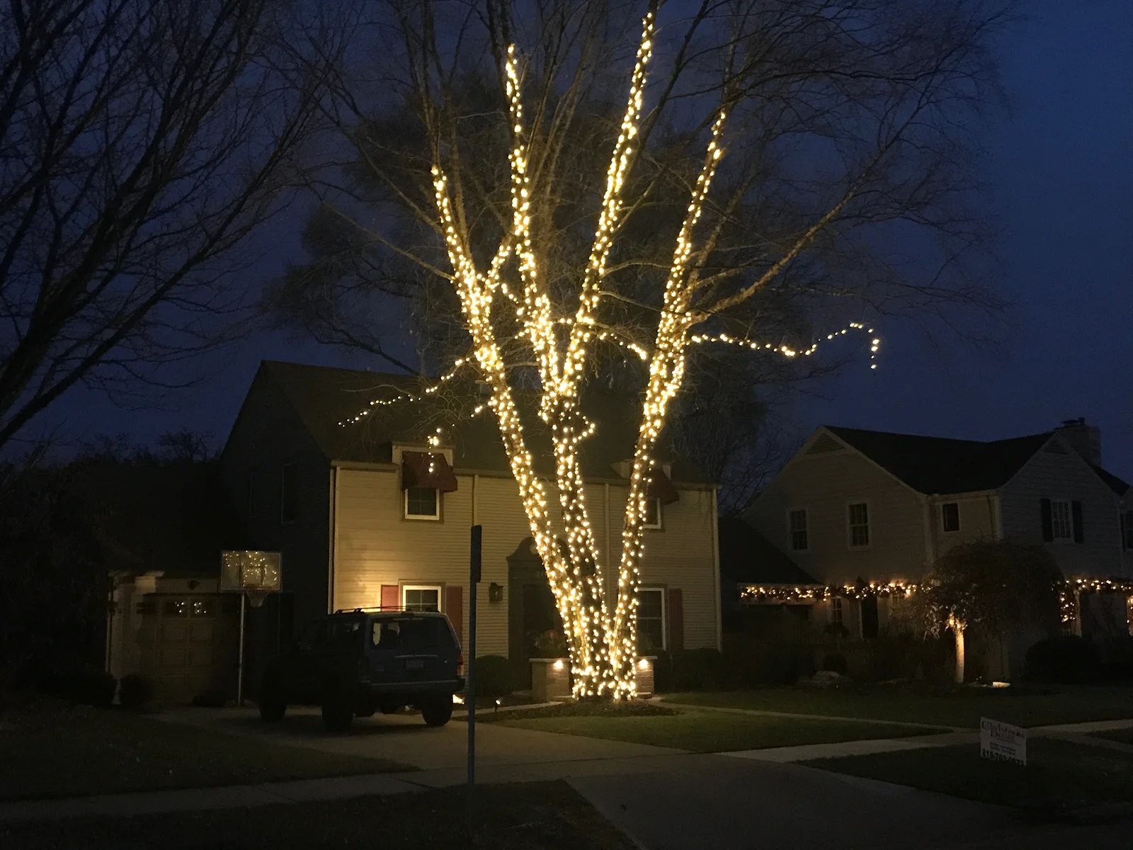 Green Acres holiday lighting installation featuring illuminated tree with warm white string lights in residential front yard