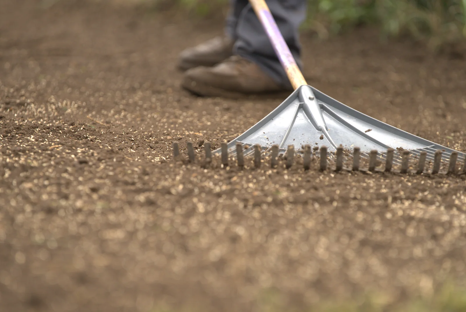 Green Acres crew member using landscape rake to prepare soil for lawn renovation and seeding