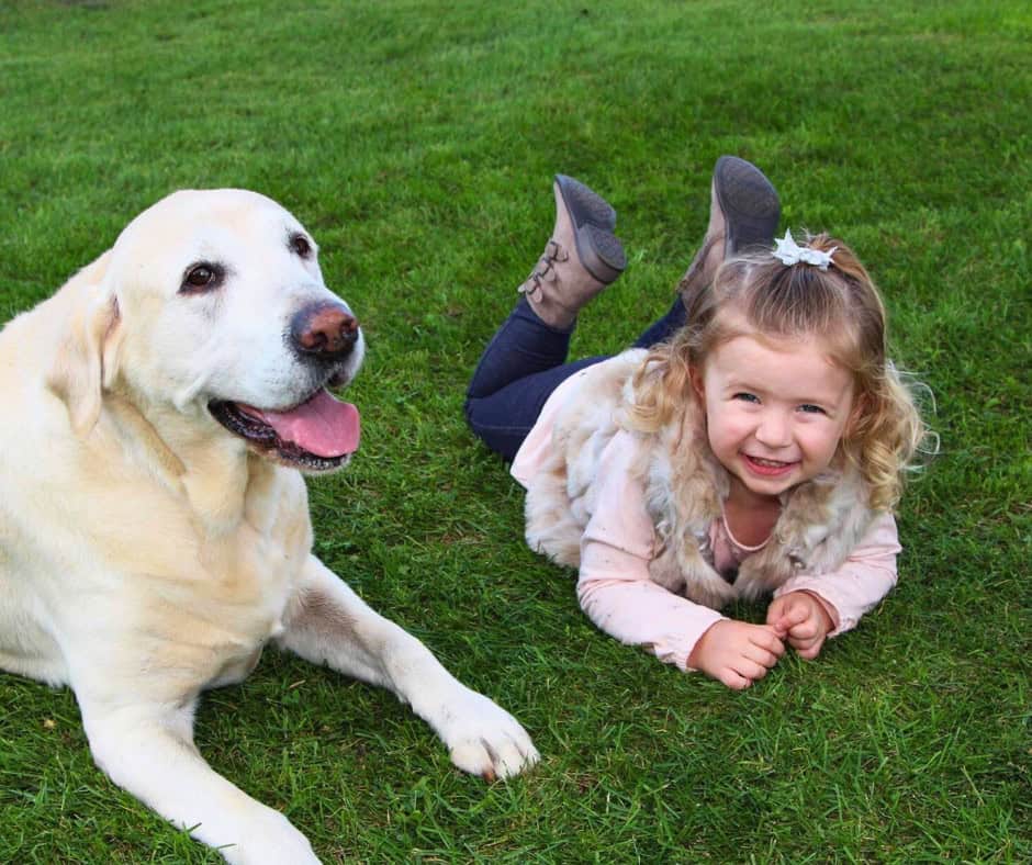 Green Acres healthy lawn care results - young girl and yellow lab relaxing on lush green grass